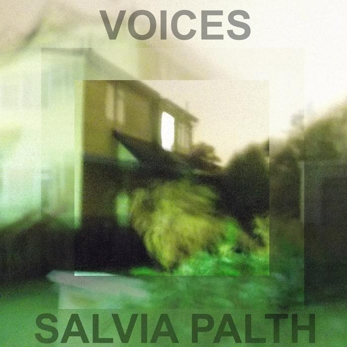 Album cover art for "​voice i (cold house)" by ‌salvia palth