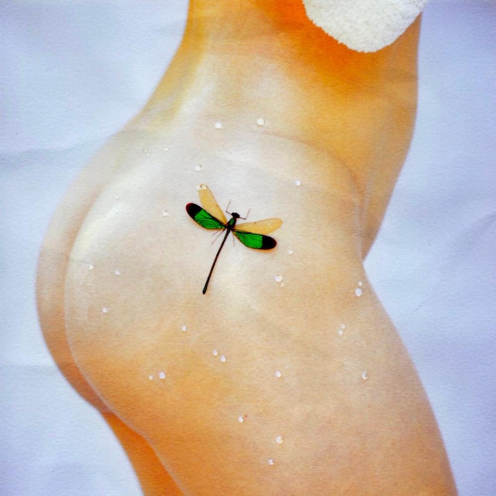 Cover image for BUG