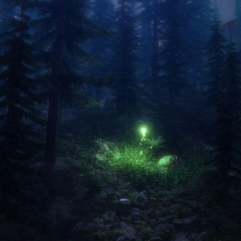 Album cover art for "In Gesichter schreiben" by Einsigartig
