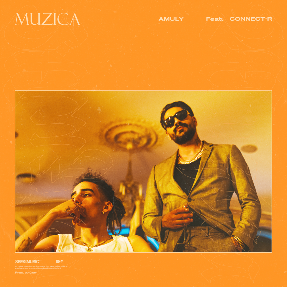 Album cover art for "Muzică" by Amuly