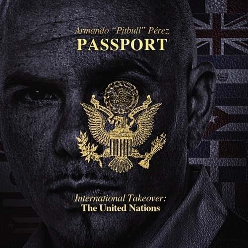 Album cover art for "Back to the Future" by Pitbull & Fergie