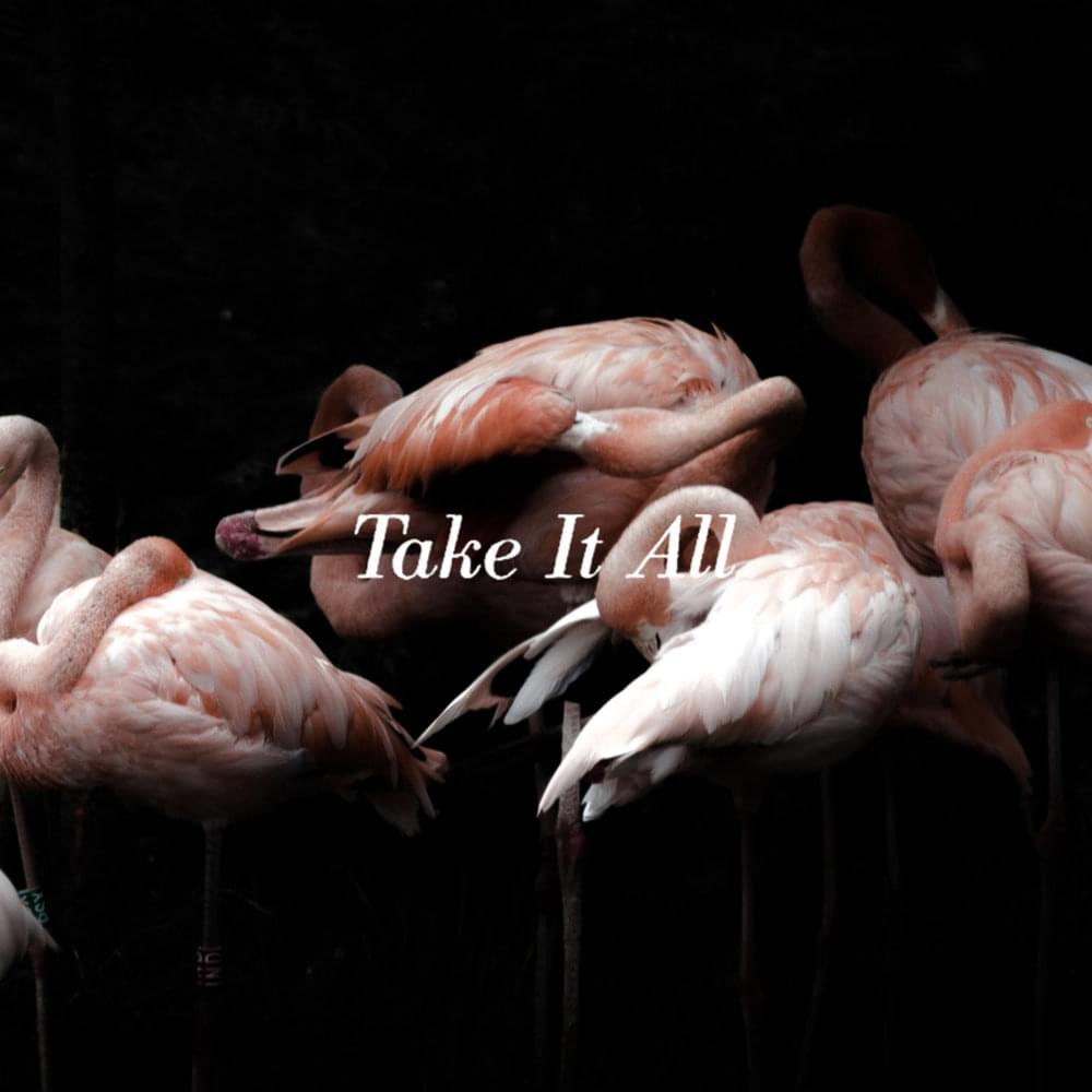 Album cover art for "Take It All" by Iceage