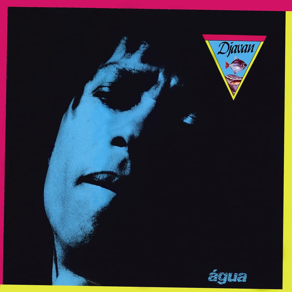 Cover image for Água