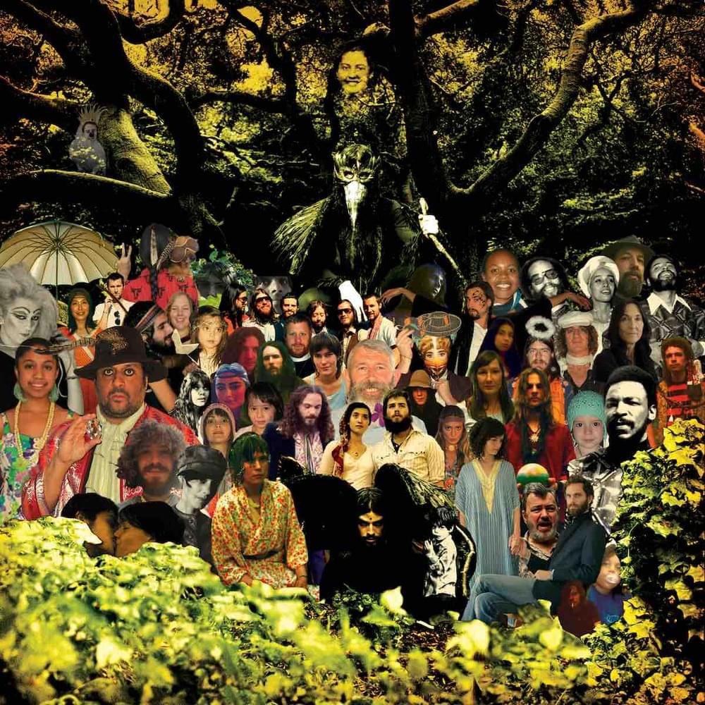 Album cover art for "The Seventies" by Devendra Banhart
