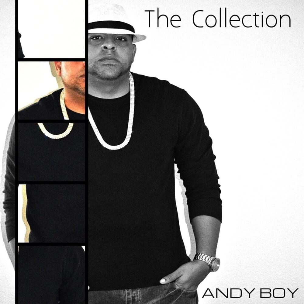 Cover image for The Collection