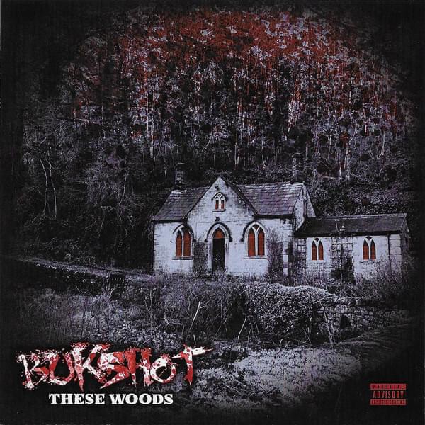 Album cover art for "These Woods" by Bukshot