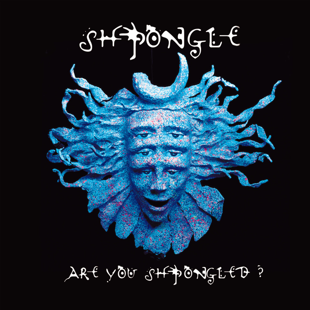 Divine Moments of Truth by Shpongle