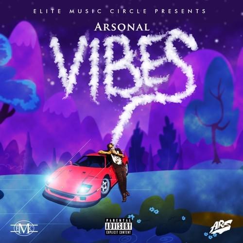 Cover image for Vibes