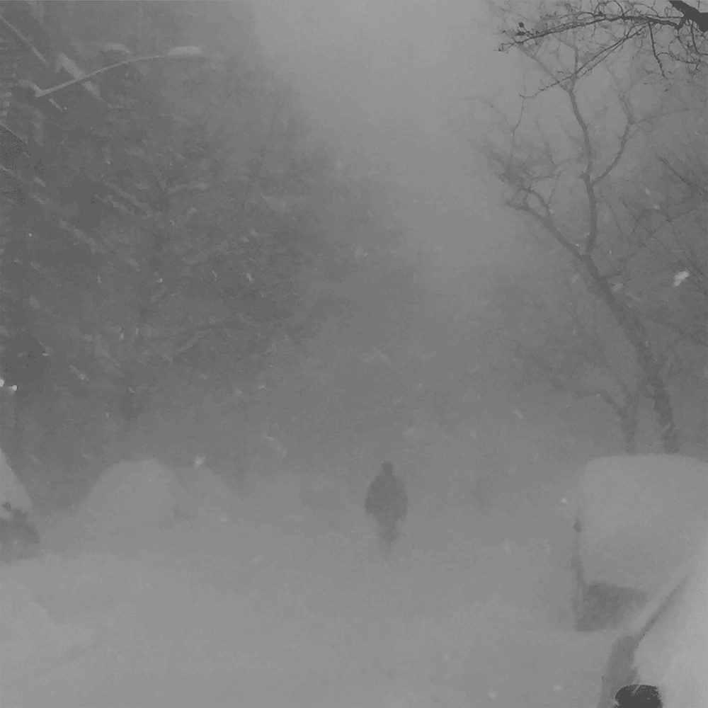 Trust Nobody by Cashmere Cat
