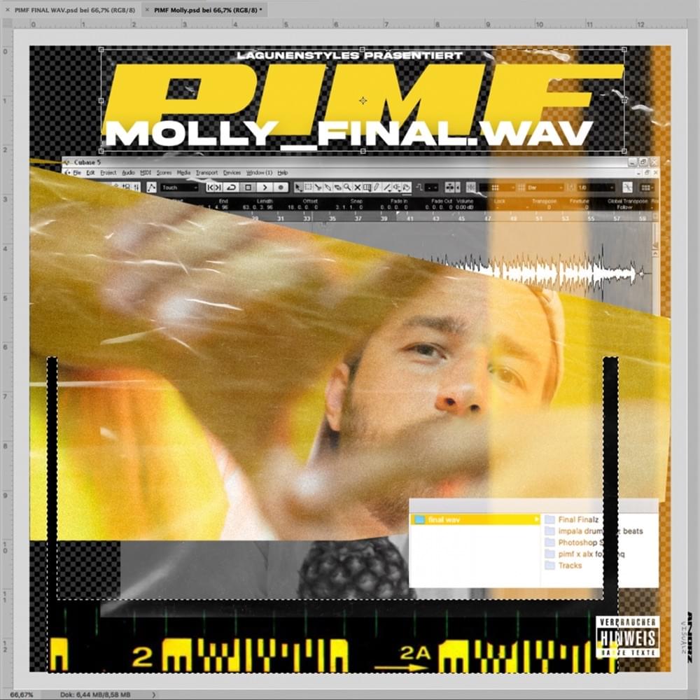 Album cover art for "Molly" by PIMF
