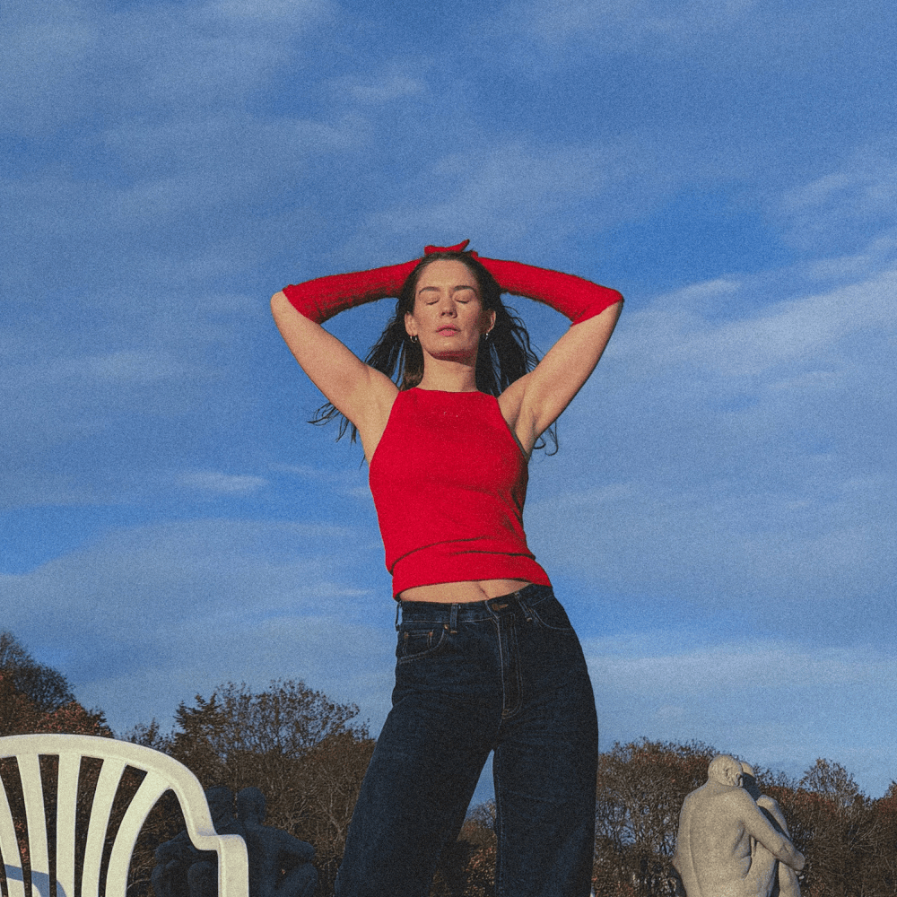 Album cover art for "Hollywood Hills" by Anna of the North