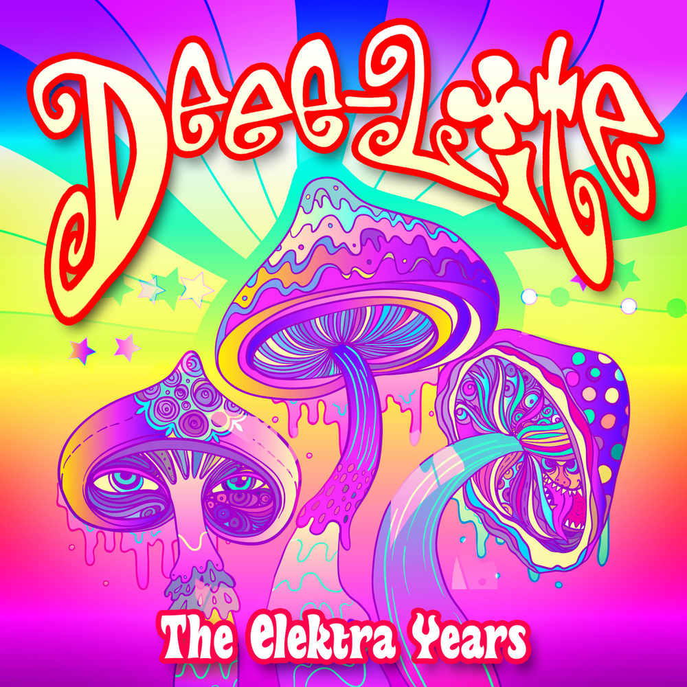Cover image for The Elektra Years