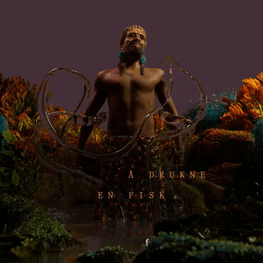 Cover image for Å Drukne En Fisk