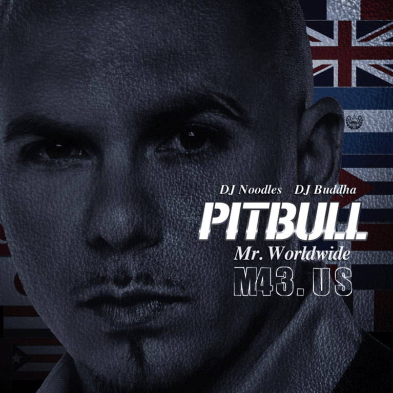 Cover image for Mr. Worldwide