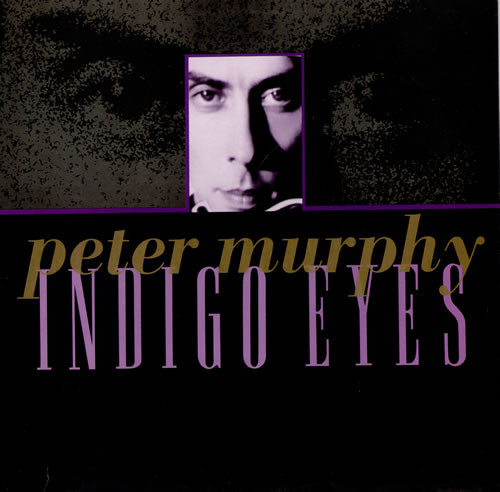 Album cover art for "Indigo Eyes" by Peter Murphy