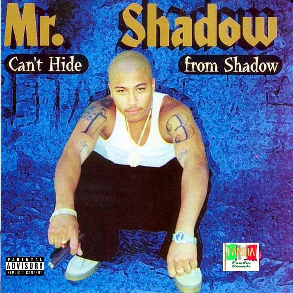 Cover image for Can’t Hide From the Shadow