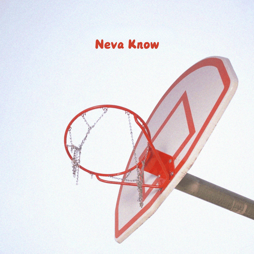 Album cover art for "Neva Know" by Nic D