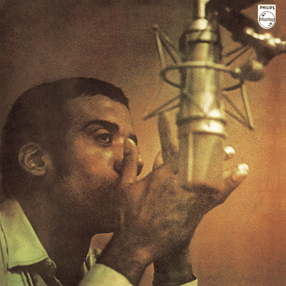 Cover image for Fôrça bruta