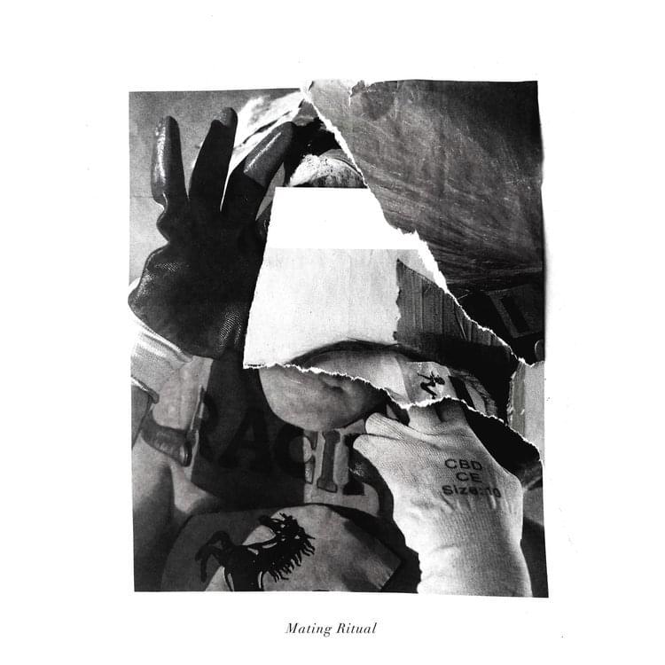 Album cover art for "I’m Just Alright" by Mating Ritual