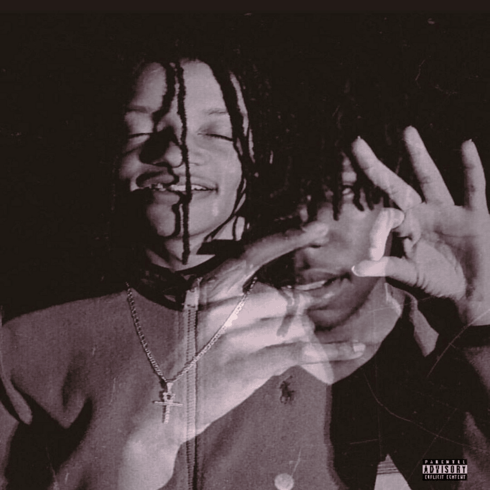 Cover image for NezzusDestroyed