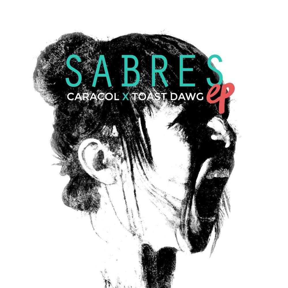 Cover image for Sabres
