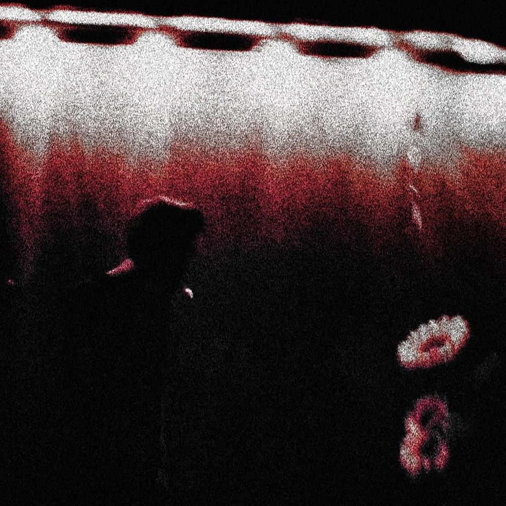 Album cover art for "ICanScreamAlliWantNobodyWillHearMe" by Biv