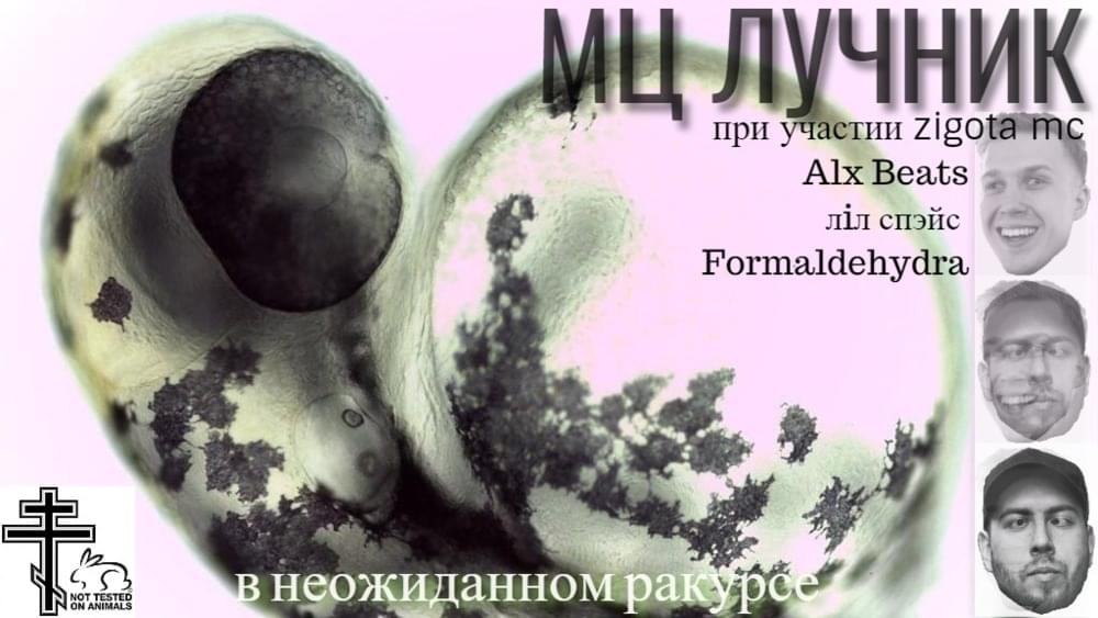 В неожиданном ракурсе (5 раунд 17ib) by МЦ Лучник (MC Luchnik)