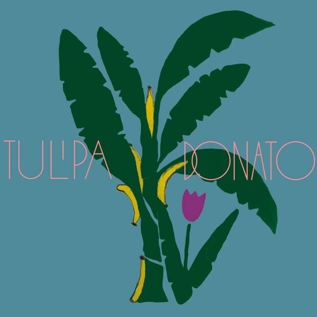 Cover image for Tulipa Ruiz e João Donato - Single