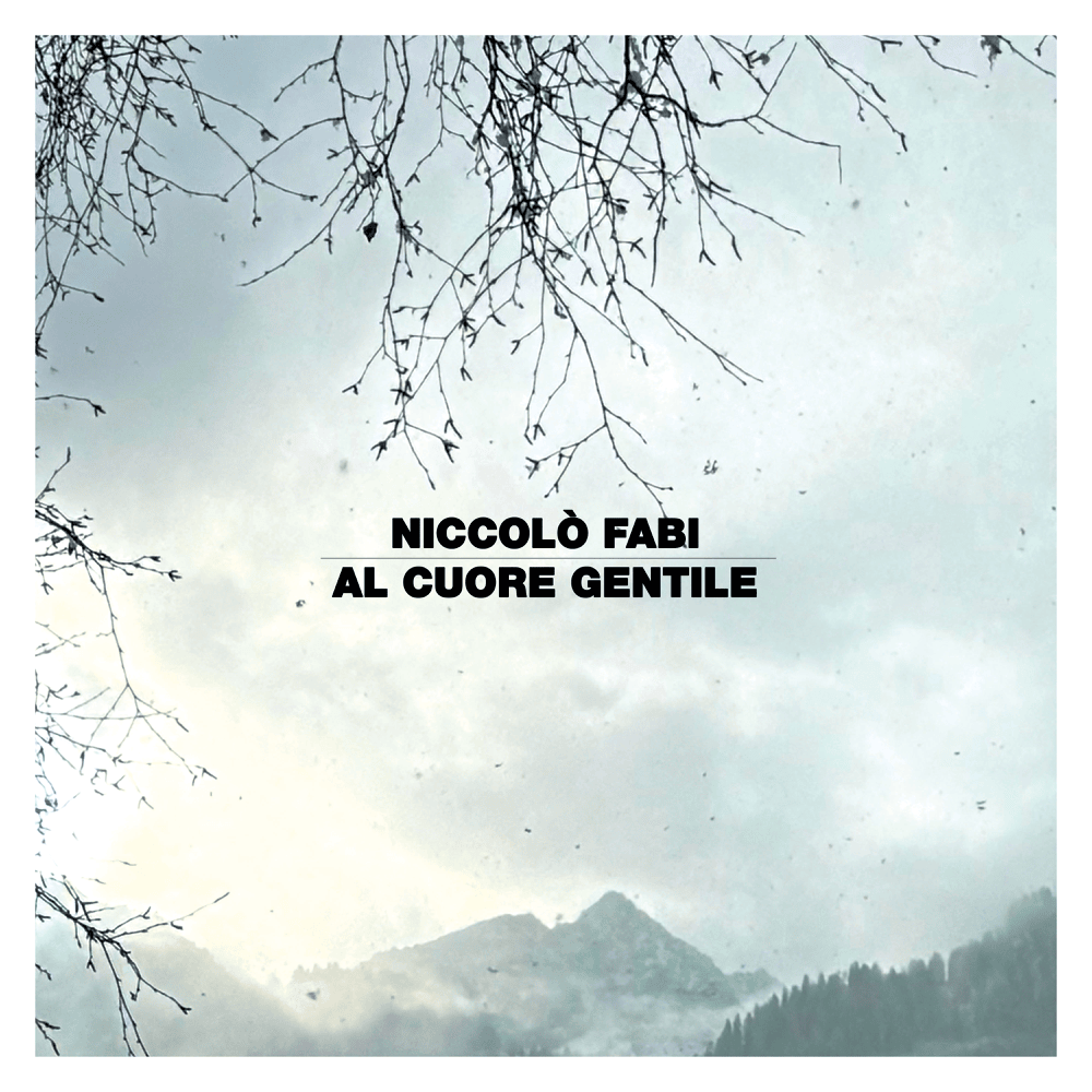 Album cover art for "Al cuore gentile" by Niccolò Fabi