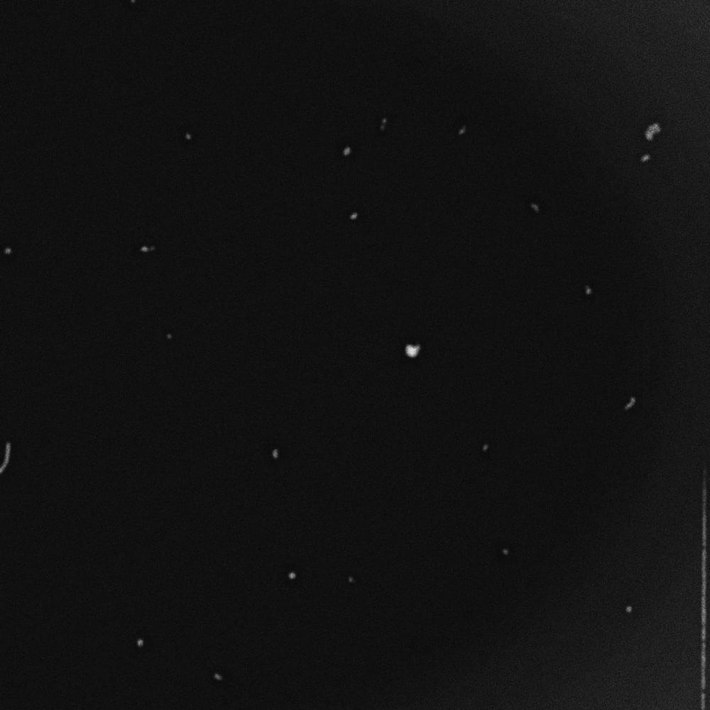 Album cover art for "Szörny" by Kapitány Máté & Lil Holt [HU]