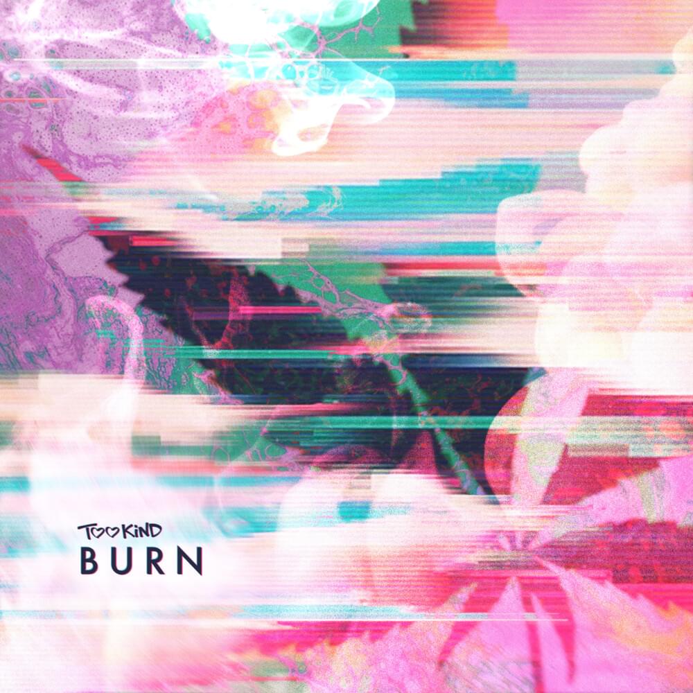 Album cover art for "Burn" by Too Kind