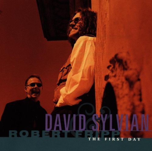 Album cover art for "God’s Monkey" by David Sylvian