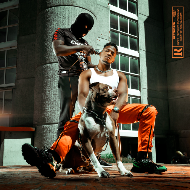 Album cover art for "Bon d�j�" by Niska