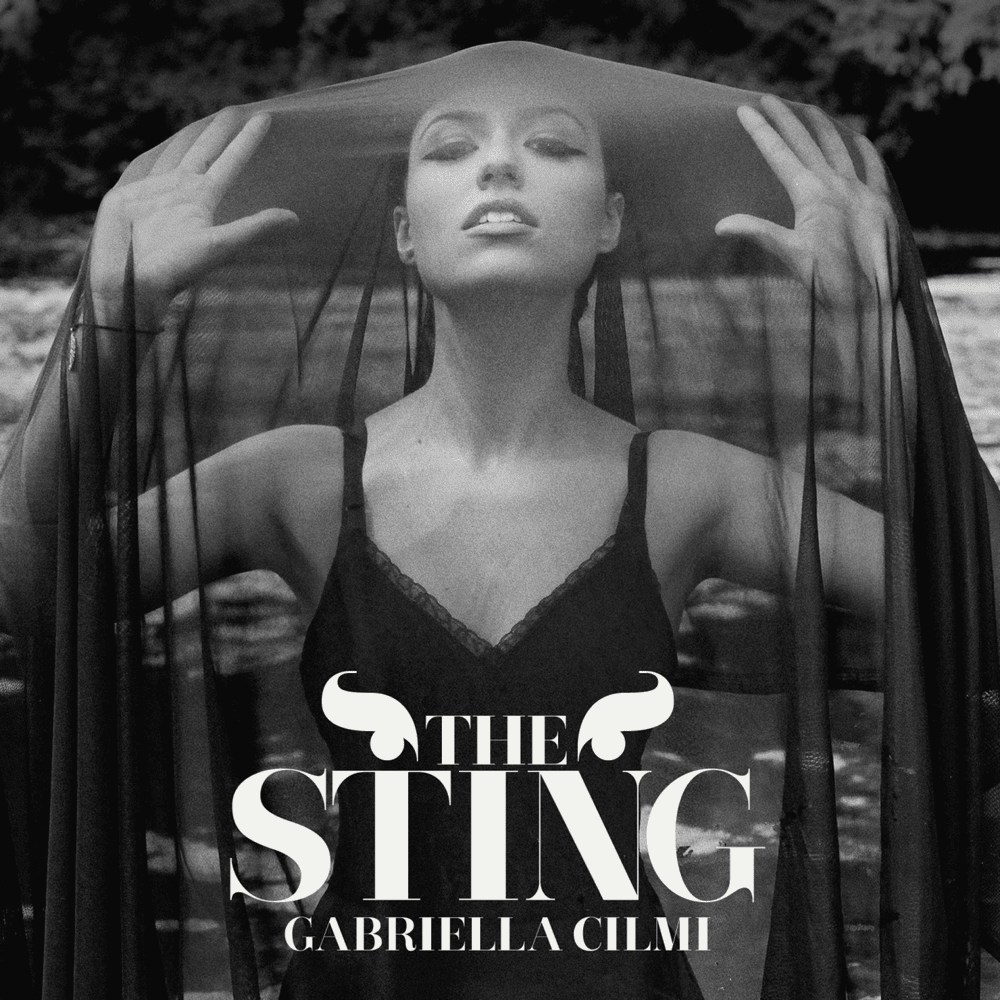 Cover image for The Sting