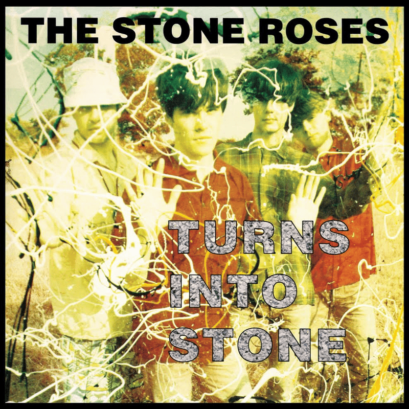 Cover image for Turns into Stone