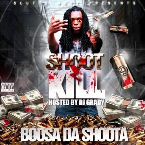 Cover image for Shoot 2 Kill