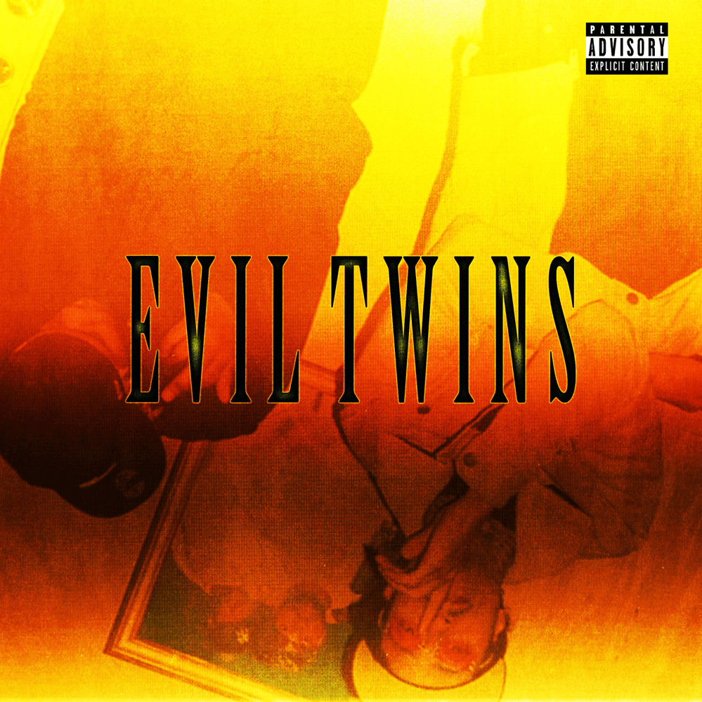 Cover image for Evil Twins