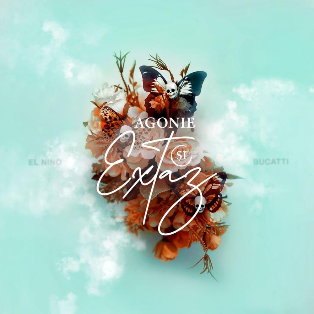 Cover image for AGONIE ȘI EXTAZ