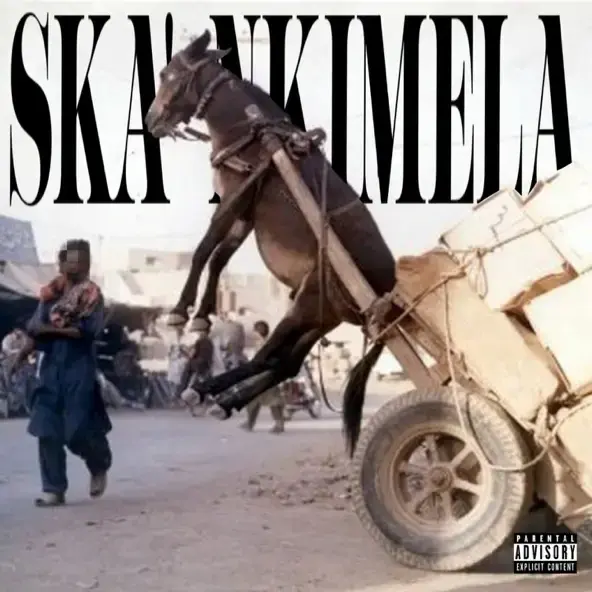 Album cover art for "SKA’ NKIMELA" by Tshego
