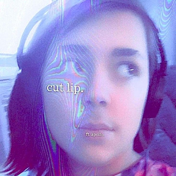 Album cover art for "cut lip (frightened remix)" by glooMilo