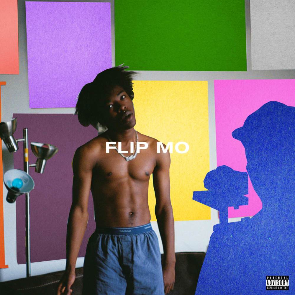 Album cover art for "FLIP MO" by BROCKHAMPTON