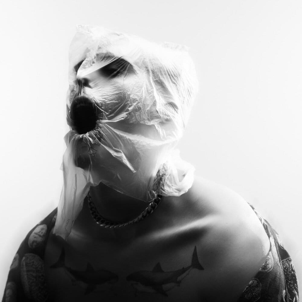 Album cover art for "VISAGES" by ​eden dillinger