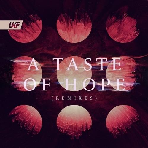 Cover image for A Taste Of Hope (Remixes)