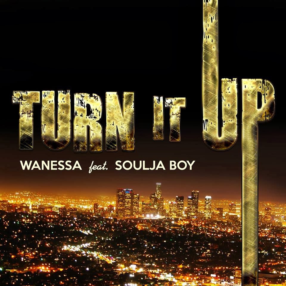 Album cover art for "Turn It Up" by Wanessa Camargo & Soulja Boy