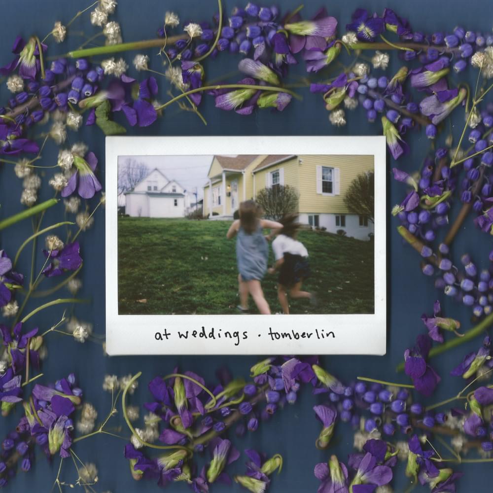 Album cover art for "Any Other Way" by Tomberlin