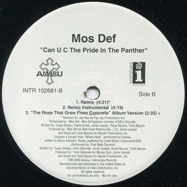 Album cover art for "Can U C The Pride In The Panther (Jay Dee Remix) (Instrumental)" by Yasiin Bey