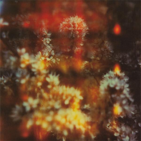 Album cover art for "Changing the Rain" by The Horrors