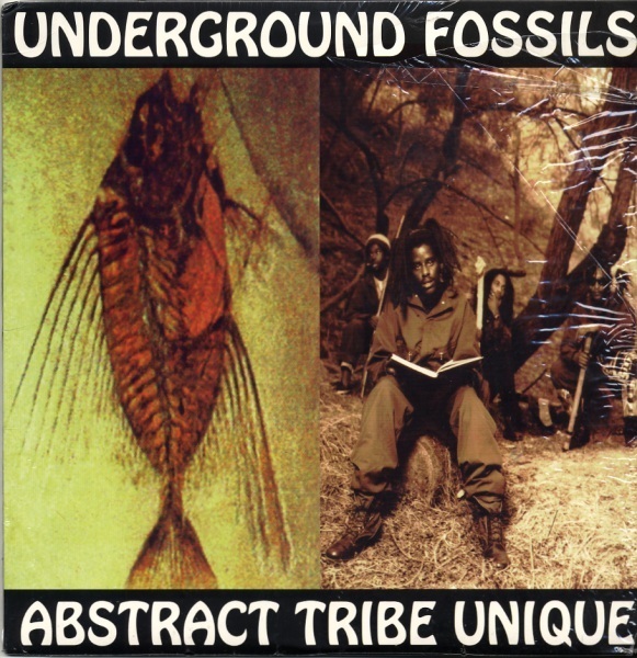 Looking Glass by Abstract Tribe Unique