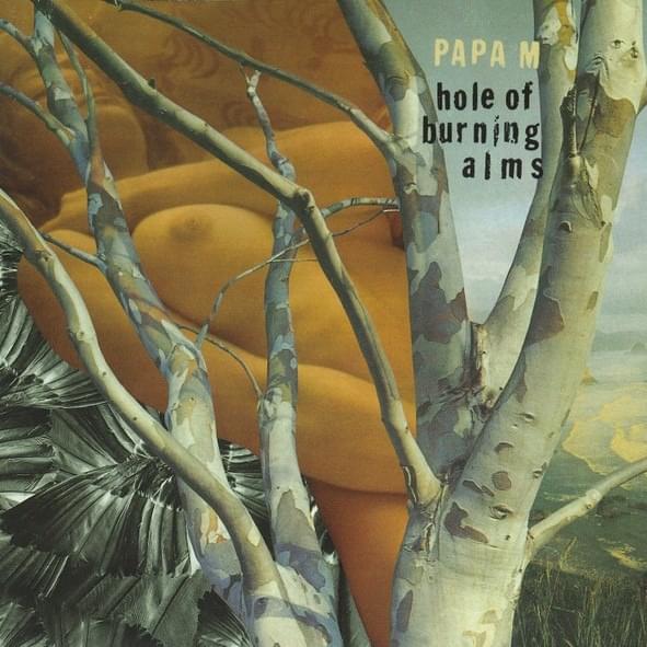 Album cover art for "Travels In Constants" by Papa M