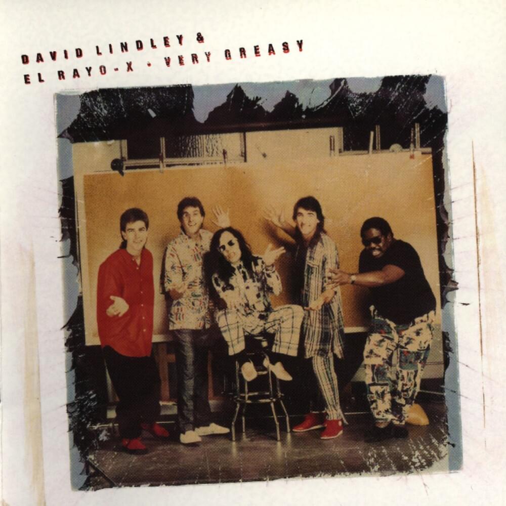 Never Knew Her by David Lindley